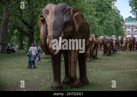 CoExistence environmental art exhibition featuring 100 life size lantana elephants in Green Park, raised over £3m for human-wildlife projects, London. Stock Photo