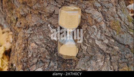 Hourglass stands on a tree in the autumn forest. Close-up Stock Photo