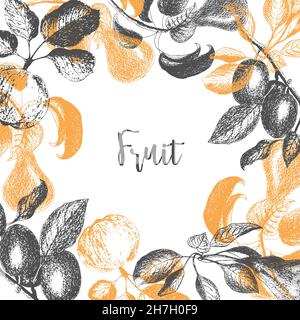 Fruit Plum apple pear design template. Hand drawn vector illustrations, stamps, prints. Engraved style different types of fruit banner. Retro, white background. Vector illustration Stock Vector
