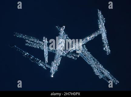 Real needle snowflake at high magnification. Macro photo of small snow rimmed crystal, snowflake glowing on dark blue background Stock Photo