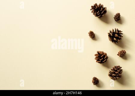 Pine cones on beige background. autumn and winter concept Stock Photo