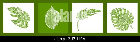 Graphic monstera leaf. Beautiful hand drawn exotic plants. logo with butterflies and exotic leaf . Vector illustration Stock Vector