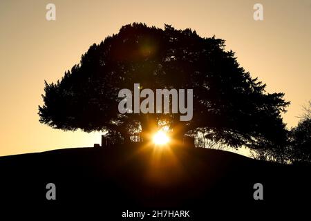 Sunrise at Boltons Bench Lyndhurst in the New Forest, Hampshire, UK Stock Photo