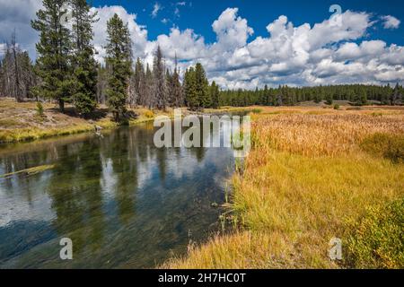 Glade Creek, from Grassy Lake Road, FR 261, John D. Rockefeller Jr. Memorial Parkway protected area, Greater Yellowstone Area, Wyoming, USA Stock Photo