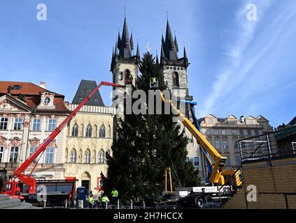 Prague, Czech Republic. 23rd Nov, 2021. Specialists decorate Prague Christmas tree on the Old Town Square in Prague, Czech Republic, on November 23, 2021. Credit: Michal Krumphanzl/CTK Photo/Alamy Live News Stock Photo