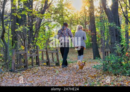 young people with a dog on a walk in an autumn forest,Sofia,Bulgaria,Europe, Stock Photo