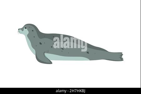 Oceanic animal seal. Vector illustration of a reclining sea gray seal isolated on a white background. Side view, flat style. Stock Vector
