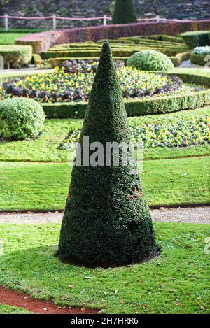 Beautiful, well-kept garden in the style of French royal gardens. Stock Photo