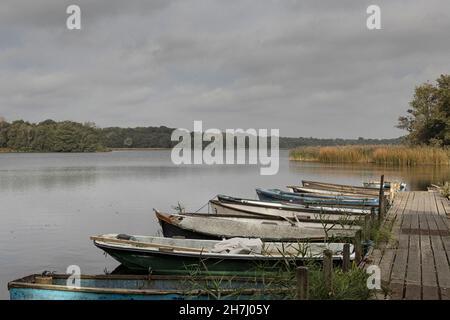 Dinghies moored up on the edge of Ormesby Little Broad, in winter on The Norfolk Broads. Stock Photo