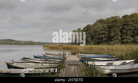 Dinghies moored up on the edge of Ormesby Little Broad, in winter on The Norfolk Broads. Stock Photo