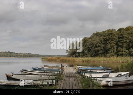 Dinghies moored up on the edge of Ormesby Little Broad, in winter on The Norfolk Broads. Stock Photo