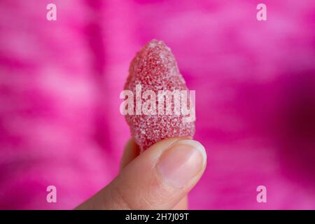 Woman holding candy, close up photo of jelly candy in girl hand. Stock Photo