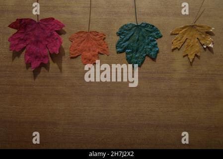 View from above images of autumn leaves over an old wooden background. Painted sheets with acrylic paint. Stock Photo