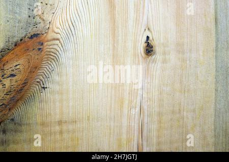 Wooden plank close-up texture. Plank with twigs background. Untreated wood, kitchen cutting board. Stock Photo