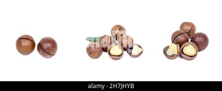 Fresh raw brown round macadamia nuts set isolated on white background. Stock Photo