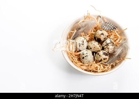 Rustic quail eggs and bird feathers in cup isolated on white. Copy space. Place for text Stock Photo