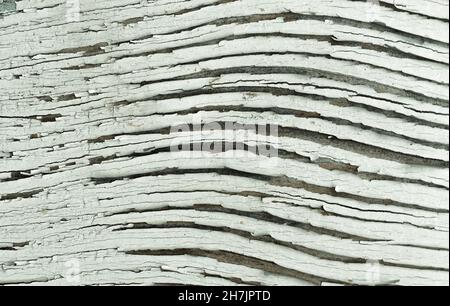 Brown Crack Background. Painted Wood Surface. Stock Photo
