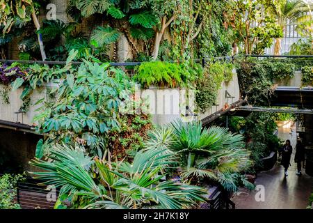 The Barbican Conservatory, the second largest conservatory in London. The Barbican Centre, London, UK. Stock Photo