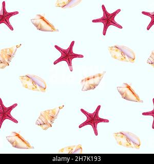 Top view flat lay starfish and seashell seamless pattern on light blue background. Stock Photo