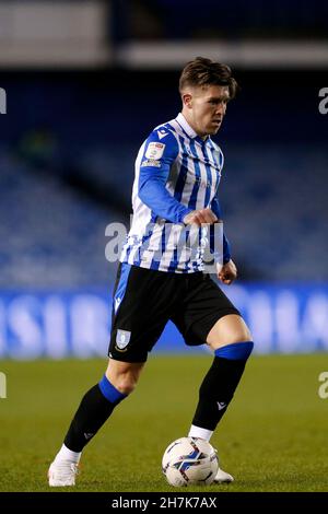 Sheffield, UK. 23rd Nov, 2021. Josh Windass #11 of Sheffield Wednesday in Sheffield, United Kingdom on 11/23/2021. (Photo by Ben Early/News Images/Sipa USA) Credit: Sipa USA/Alamy Live News Stock Photo