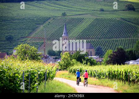 Near Birkweiler on the Palatinate Wine Route, Rhineland-Palatinate, Germany Stock Photo
