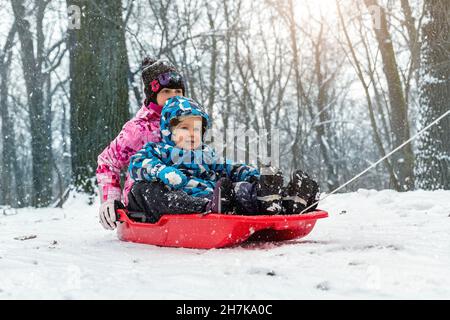 Two cute adorable funny sibling kid friend wear warm jacket enjoy have fun sledging at city park area or forest against cold snowy woods landscape on Stock Photo