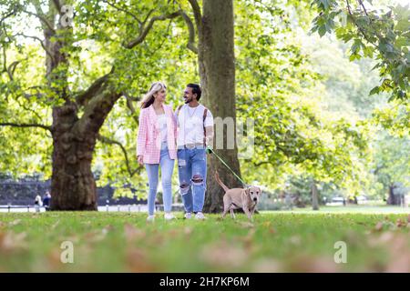 Smiling young couple looking at each other while walking with dog in park Stock Photo