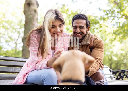 Happy young couple looking at dog in public park Stock Photo
