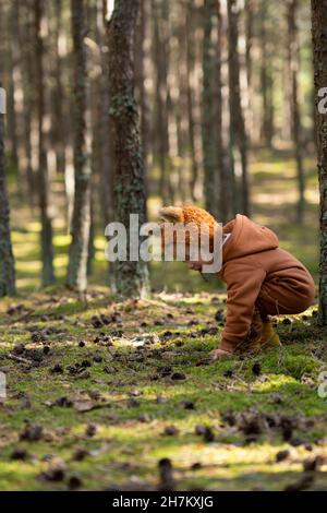 Girl collecting pine cones in forest Stock Photo