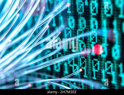 Fiber optics carrying computer virus attacking binary code Stock Photo