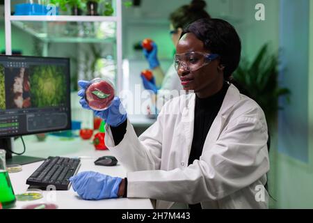 African american chemist researcher holding petri dish with vegan meat in hands working genetic mutation experiment. Scientist doctor examining genetically modified beef in hospital lab Stock Photo