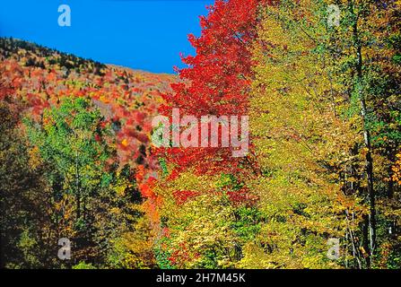 Autumn Scene, Greenville, Maine, USA Stock Photo