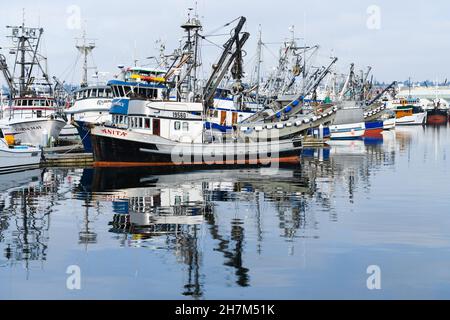 Seattle - November 21, 2021;  On a calm day the commercial fishing boats reflect in the water of Fishermen's Terminal of Seattle Stock Photo