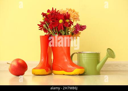 Pair of rubber boots, flowers, watering can and apple on floor against color wall Stock Photo
