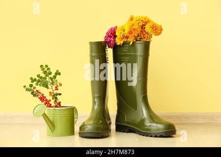 Pair of rubber boots, flowers and watering can against color wall Stock Photo