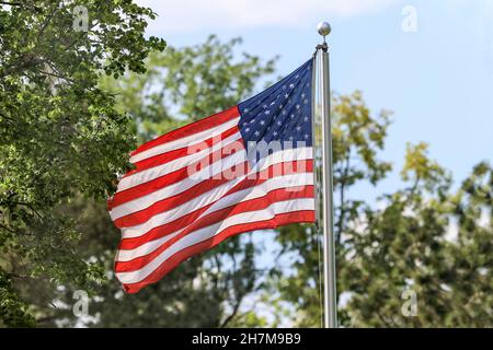 An American Flag softly waving in the breeze with tall mature trees in an outdoor background with a light blue sky. Stock Photo