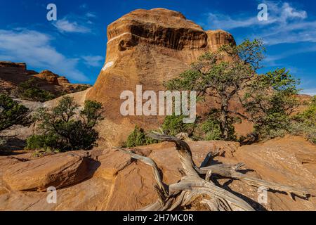 View along the Devils Garden Trail in Arches National Park Stock Photo