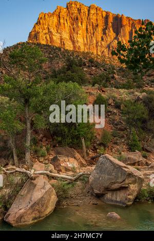 The light of evening colors the Watchman in Zion National Park Stock Photo