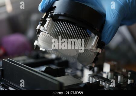 Person installing black cooler fan with copper tubes on computer processor Stock Photo