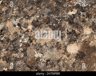 Stone background with damp stains Stock Photo