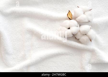 Cotton flowers on surface of white terry towel. Clean towel as texture or background. Top view. Stock Photo