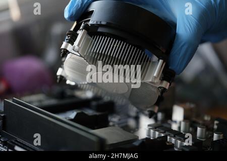 Person installing black cooler fan with copper tubes on computer processor Stock Photo