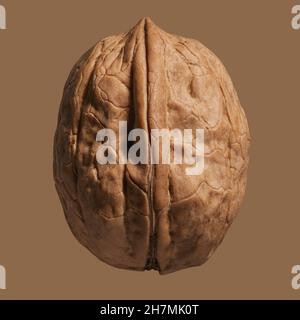 Close up brown German walnut in shell Stock Photo