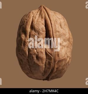 Close up brown German walnut in shell Stock Photo