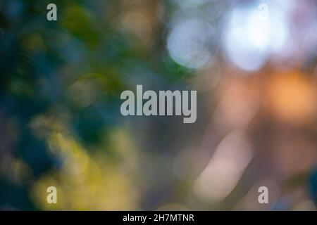 abstract background of blurred color spots Stock Photo