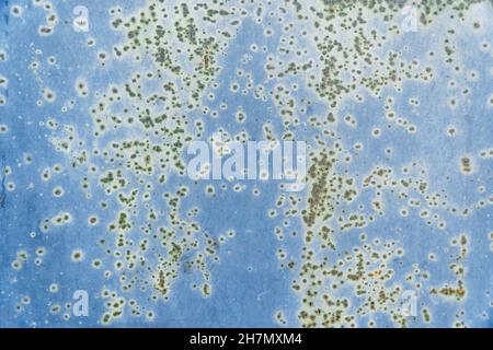 Steel sheet painted with blue paint covered with rust spots. Old Blue Abstract Background Stock Photo