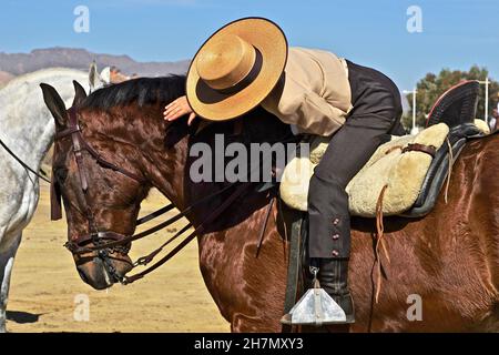 Spanish fiesta, horse tournament, young rider patting horse, feria in Andalusia, boy in Spanish riding traditional costume with hat, Andalusia, Spain Stock Photo