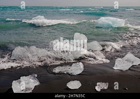 Pieces of ice floating in the sea and lying on a dark sandy beach, Diamond Beach, South Iceland, North Atlantic, Iceland Stock Photo