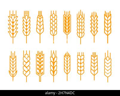 Cereal ear or spike outline icons. Wheat, rye, barley and millet vector natural grains. Yellow plant stalk for bread baking, isolated bakery, harvest Stock Vector