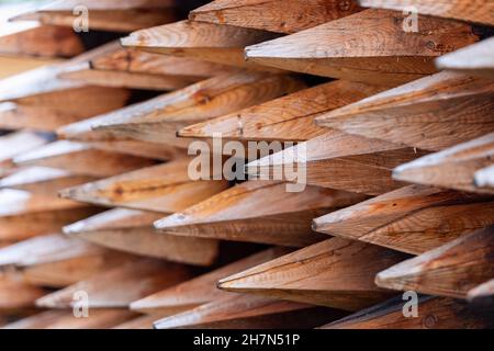Wooden stakes pattern. Treated tree trunks Stock Photo